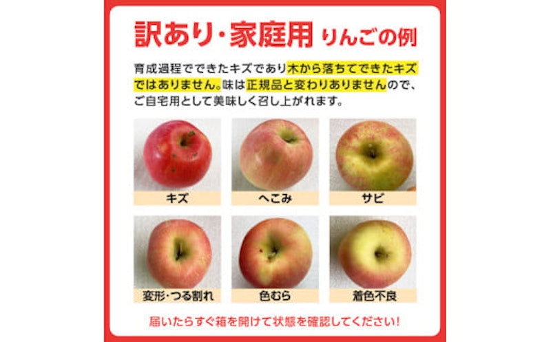 特別栽培 訳あり 家庭用サンふじ 鈴木果樹園 5