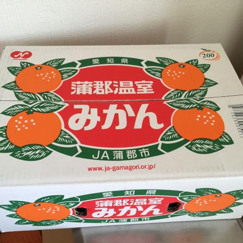 愛知産 蒲郡温室みかん 3