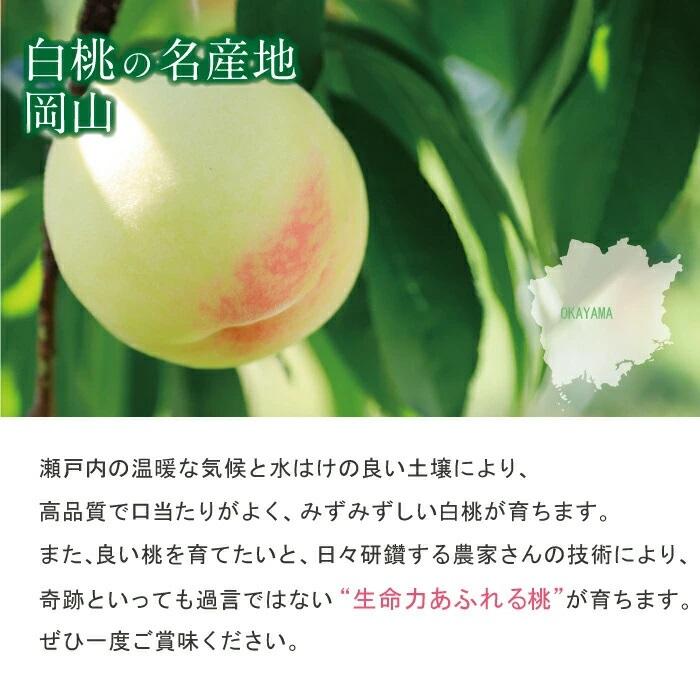 岡山白桃 3