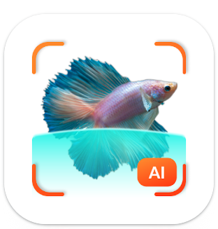 FishDetect 1