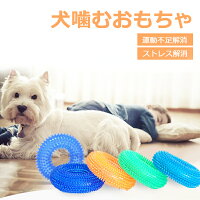 2022年】犬用歯磨きおもちゃのおすすめ人気ランキング20選 | mybest