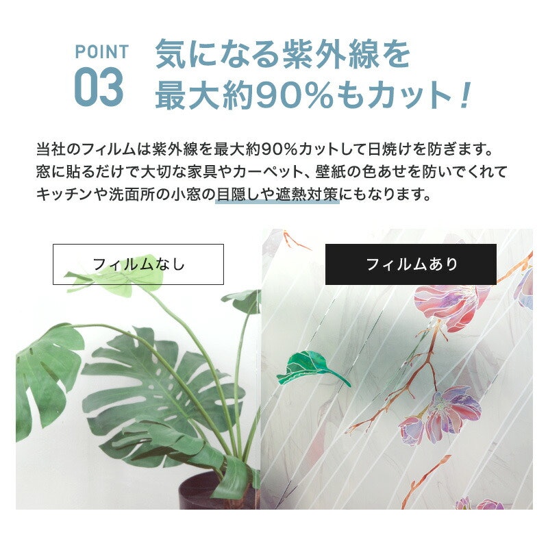 ワイルドローズ 5