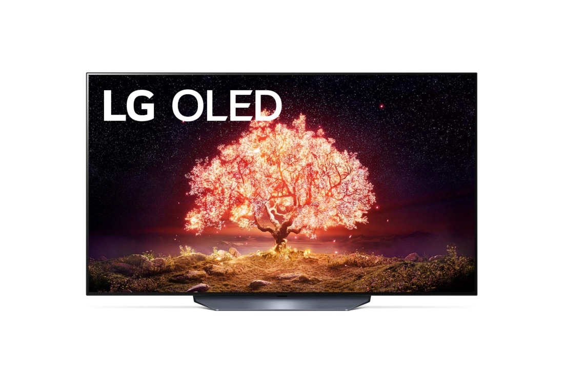 LG 4Kチューナー内蔵 有機ELテレビ OLED55B1PJAをレビュー！口コミ・評判をもとに徹底検証 | マイベスト