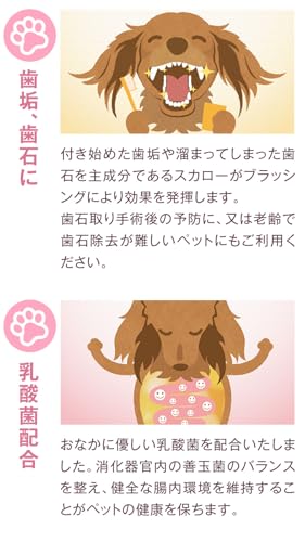 スカローデンタルジェル 5
