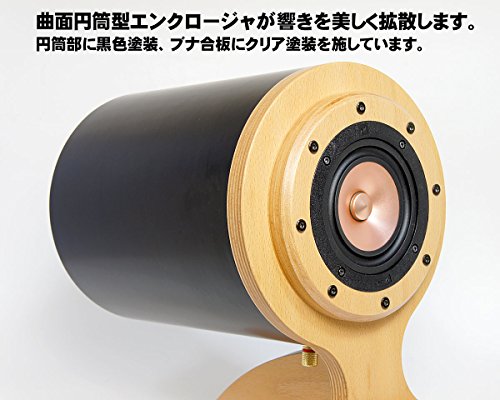 CB200曲面構造スピーカーキット 3