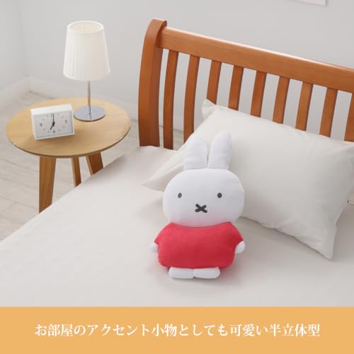 抱き枕 3