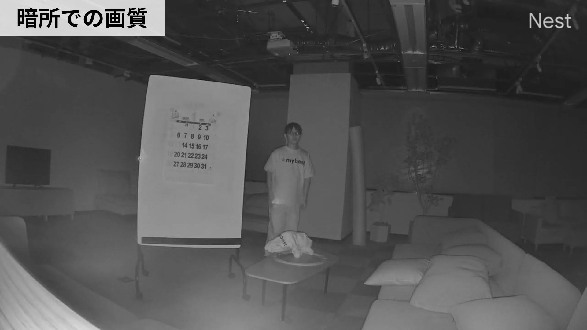 Google Nest Cam 12