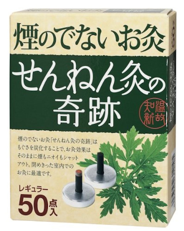 せんねん灸の奇跡 レギュラー 1