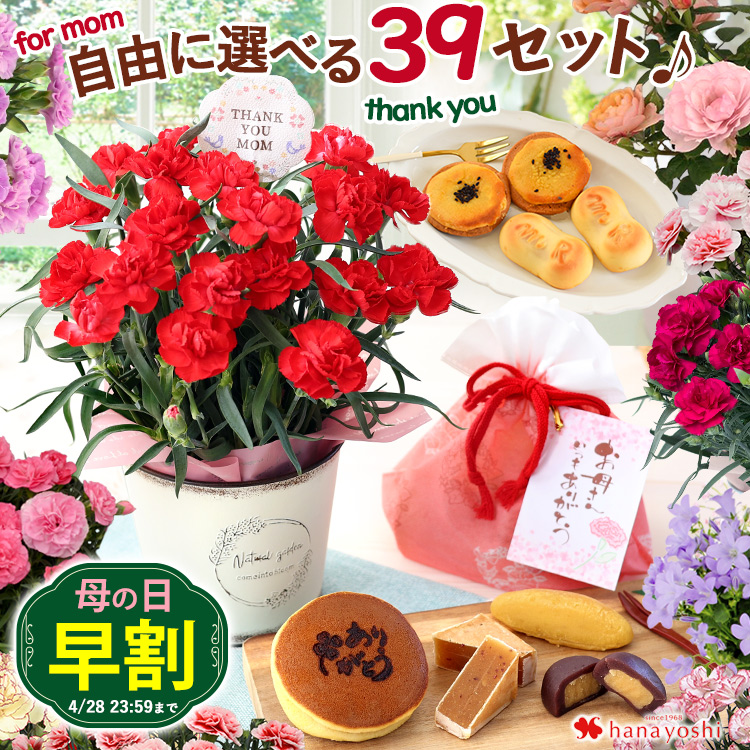 自由に選べる花&スイーツ 1