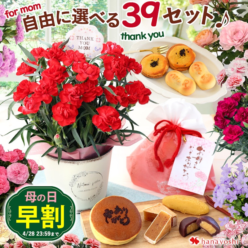 自由に選べる花&スイーツ 1