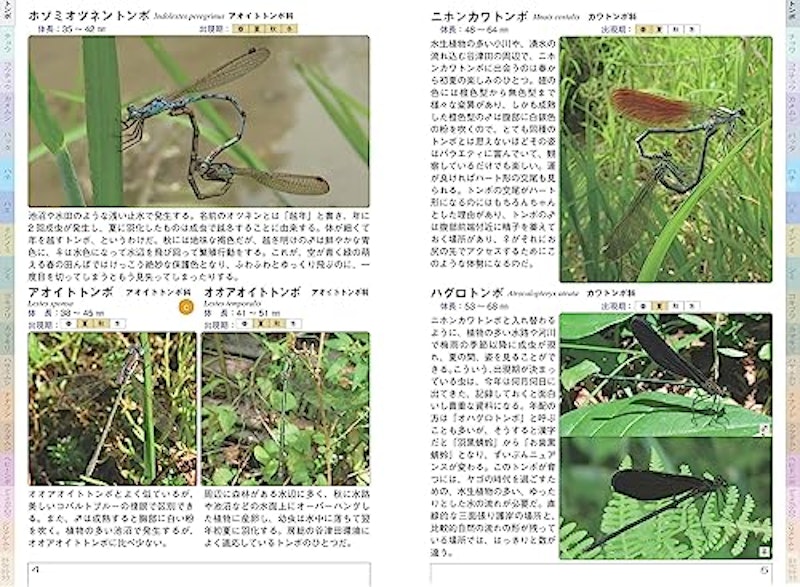 千葉の昆虫図鑑 3