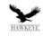 ホークアイ HAWK EYE 1