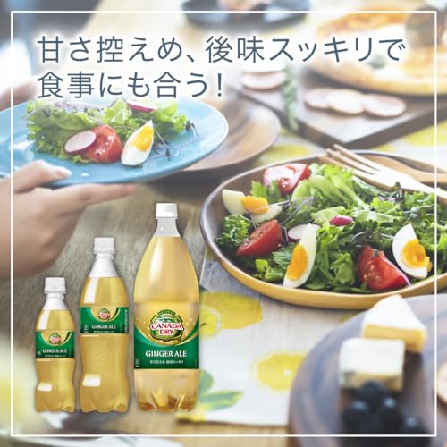 ジンジャーエール 6
