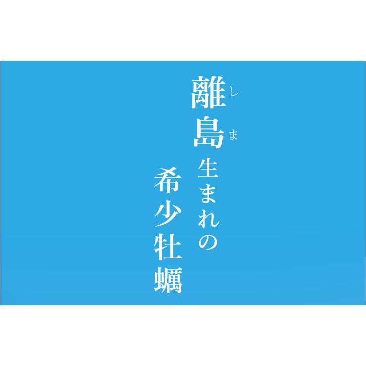 桃こまち 牡蠣 5