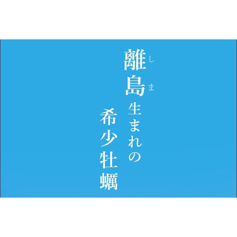 桃こまち 牡蠣 5