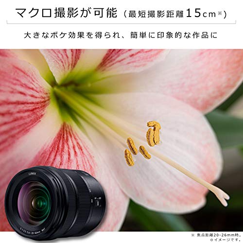 LUMIX S 20-60mm F3.5-5.6 4