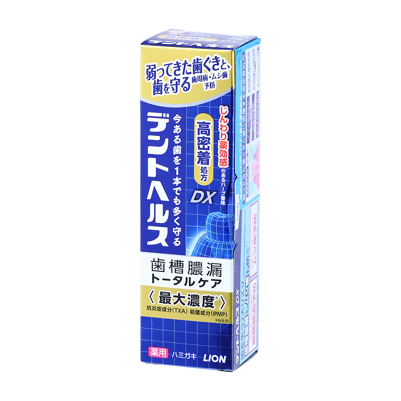 薬用ハミガキDX 5