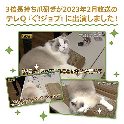 爪とぎ 5