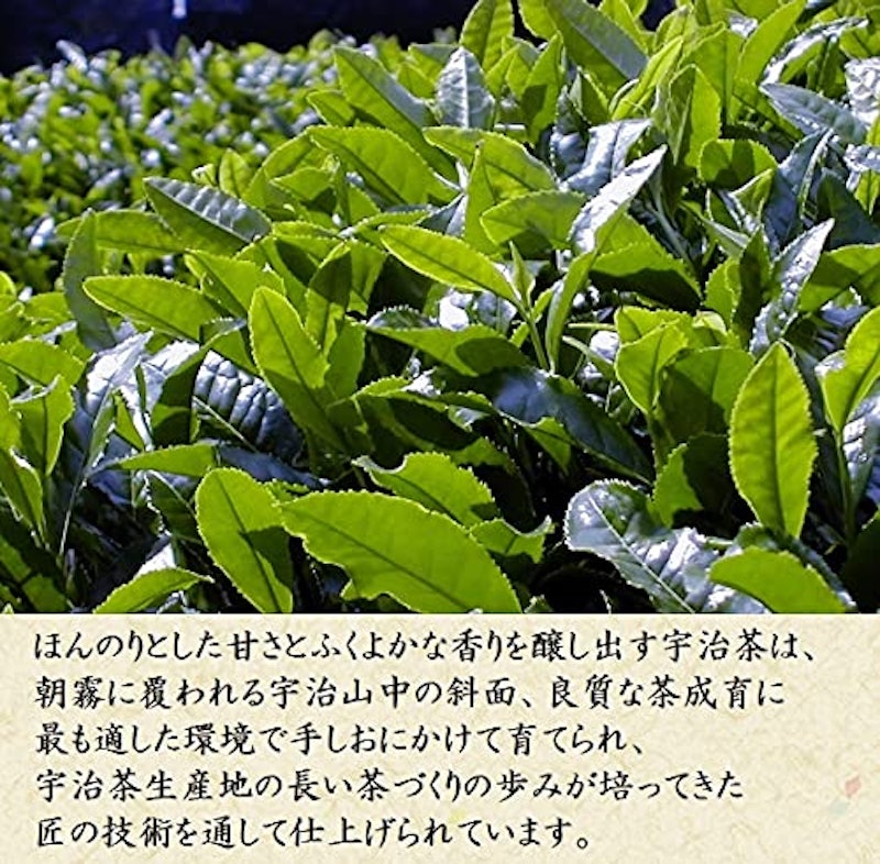 宇治新茶ギフト 5