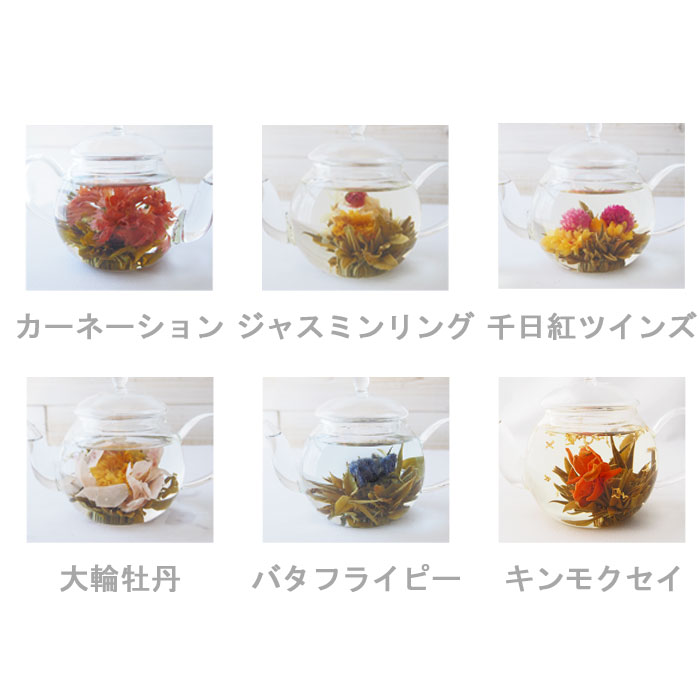 お花のつぼみとティーポット カーネーション茶 4