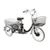 PELTECH 電動アシスト三輪車 1