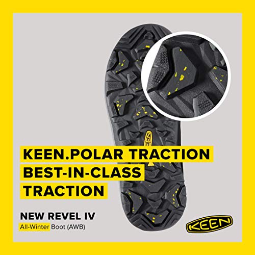 REVEL IV MID POLAR 4