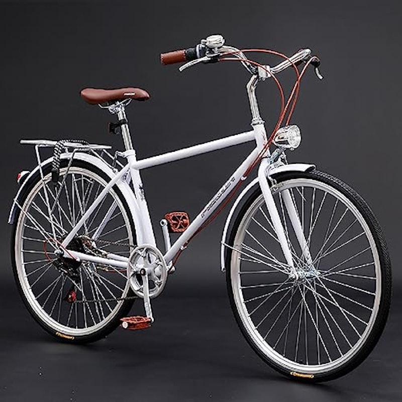 クルージング自転車 1