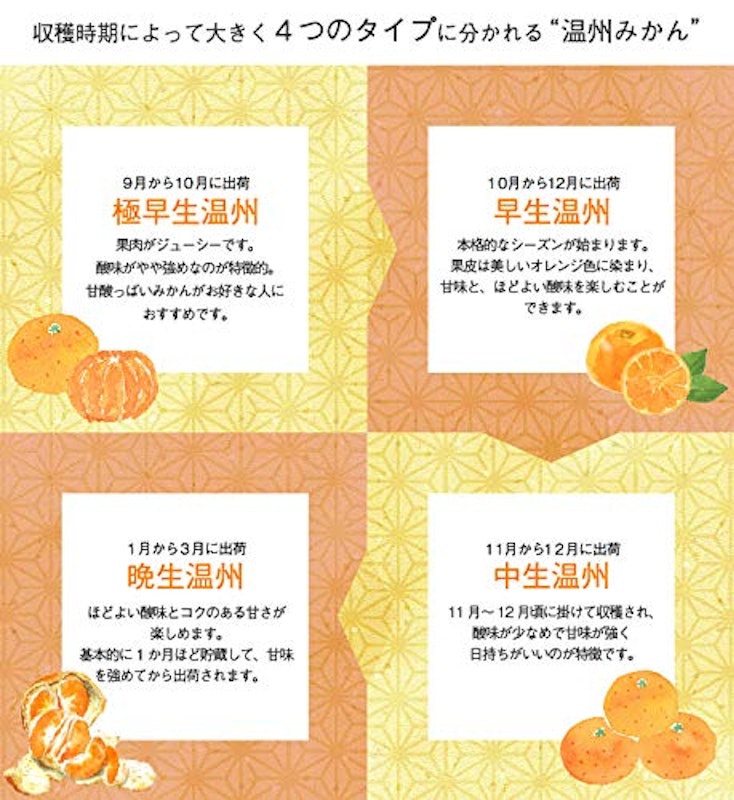 産地厳選 風のいたずら ちょっと訳ありみかん 7