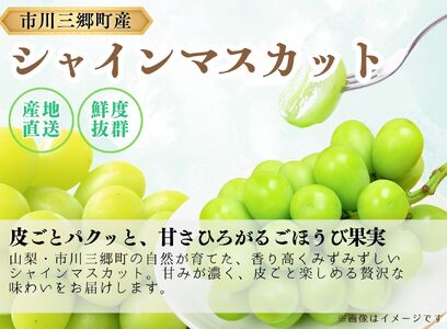 シャインマスカット 2