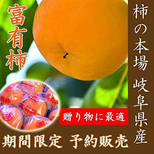 太田丸金 富有柿 2