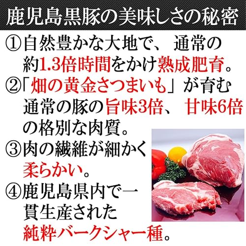 鹿児島黒豚 肩ロース ブロック 3