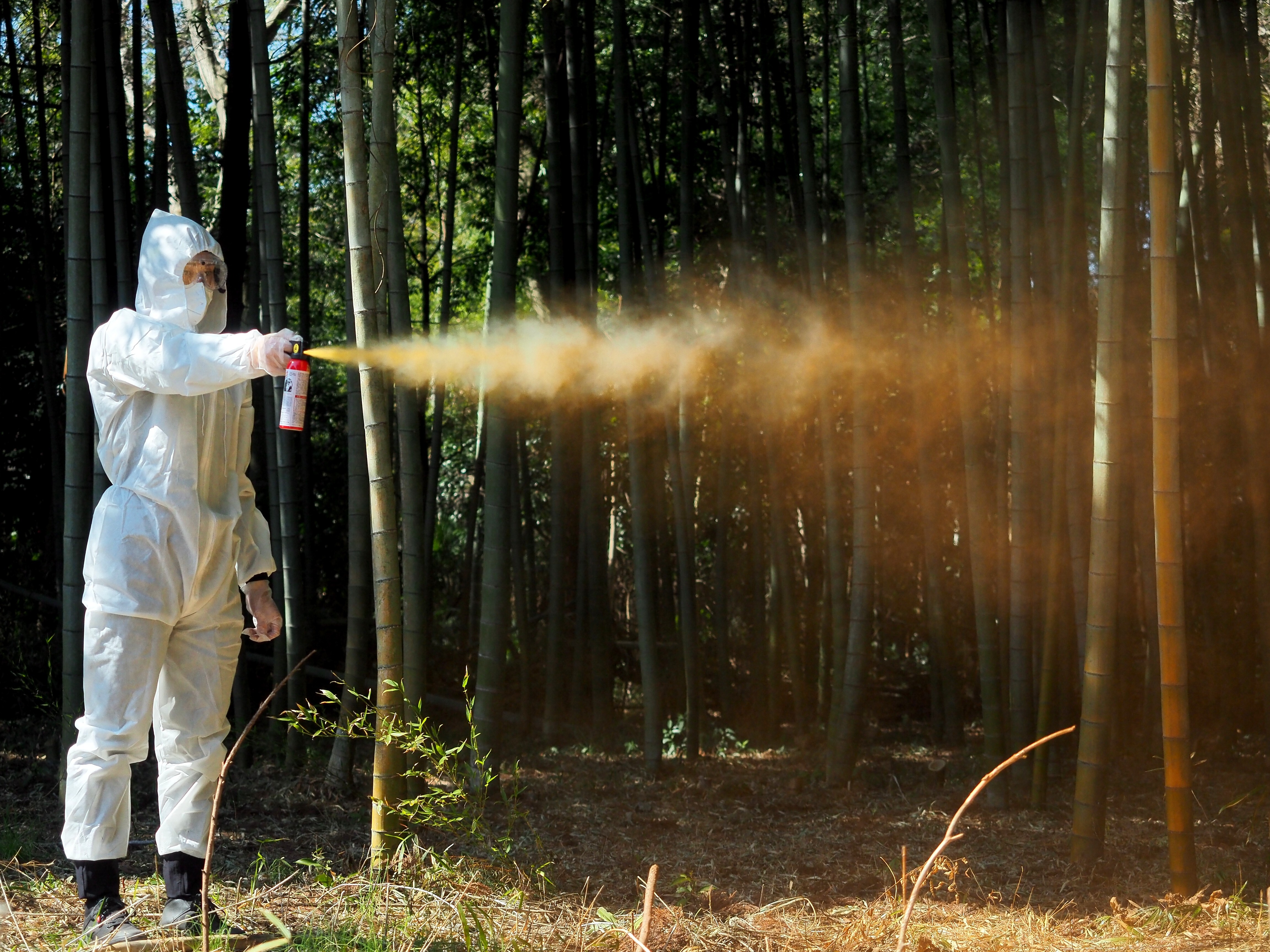 eae5862ba3382aeb730e4682656276