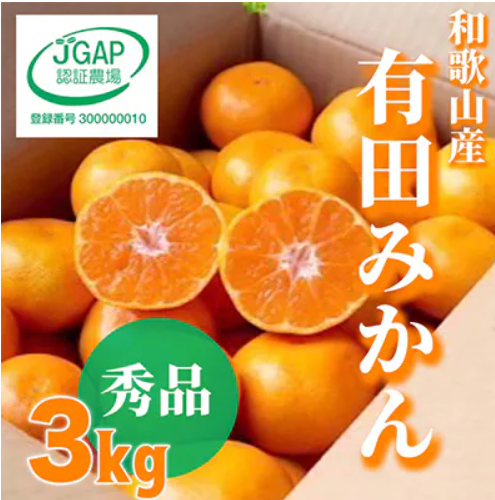 和歌山県産有田みかん  1