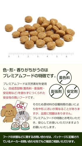 プロフェッショナルバランス 6