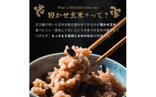 寝かせ玄米ごはんパック 黒米ブレンド 2