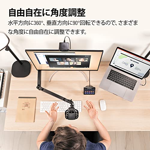 Wave Mic Arm LP 3