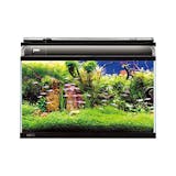 メダカの飼育におすすめの水槽人気ランキング10選 フィルター付きも Mybest メダカの飼育におすすめの水槽人気ランキング10選 フィルター付きも Mybest