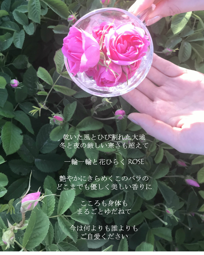 21年 フローラル系アロマオイルのおすすめ人気ランキング12選 Mybest