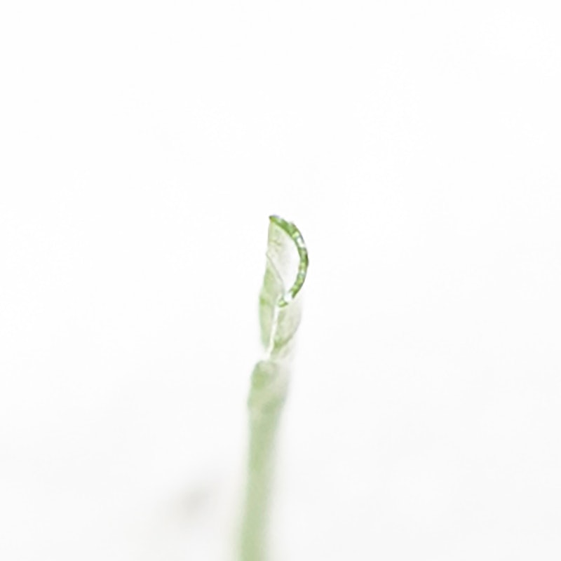 ふわふわターフ エクセレント 6