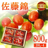 佐藤錦 特秀 L 1