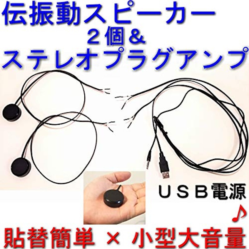 伝振動スピーカー2個&ステレオプラグアンプ 1