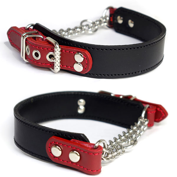 21年 犬用ハーフチョークのおすすめ人気ランキング15選 Mybest