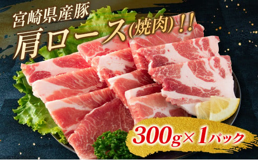 豚肉5種 お楽しみセット 4
