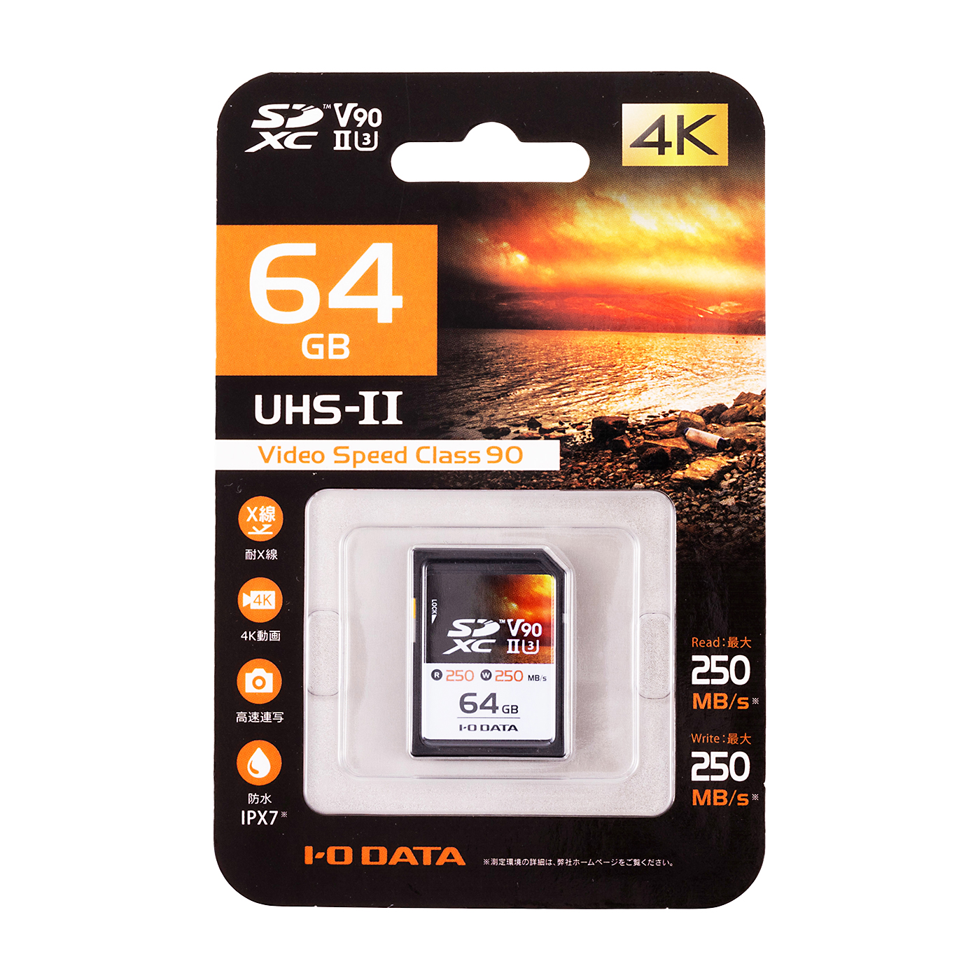 しょうがく社　カード しょうがく社 公開模擬テスト 年中 年長カード 12個セット