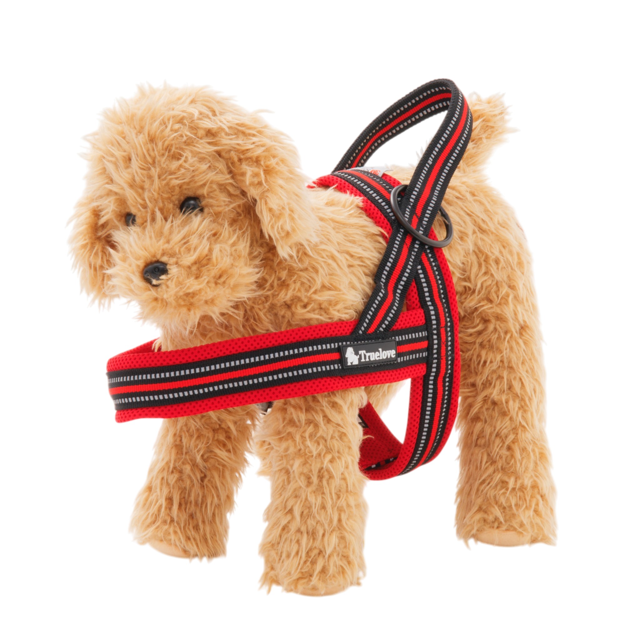 犬用ハーネス 1