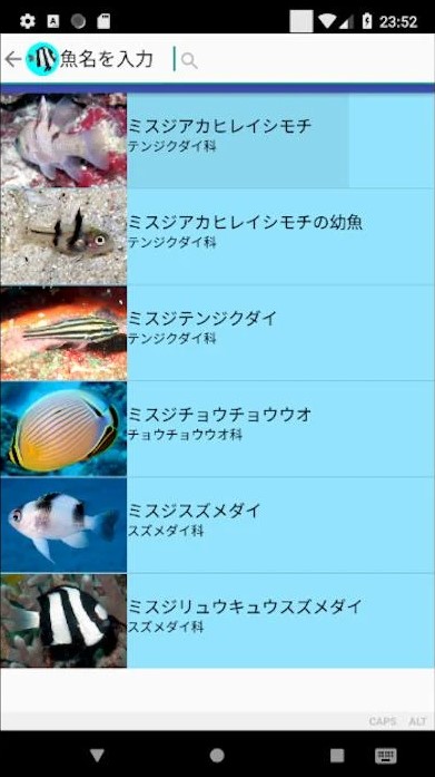 沖縄の魚図鑑 4