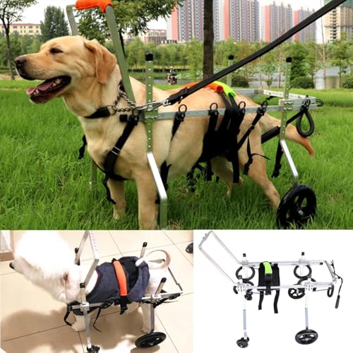 わんちゃん4輪　リハビリ　食事補助　犬用車椅子　介護用　犬の歩行器 Amazon.co.jp: 犬用4輪歩行器 ペット用車いす ペット用車椅子 犬