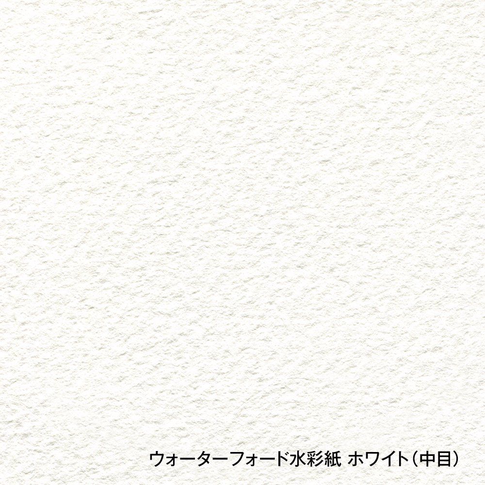 ウォーターフォード水彩紙 3