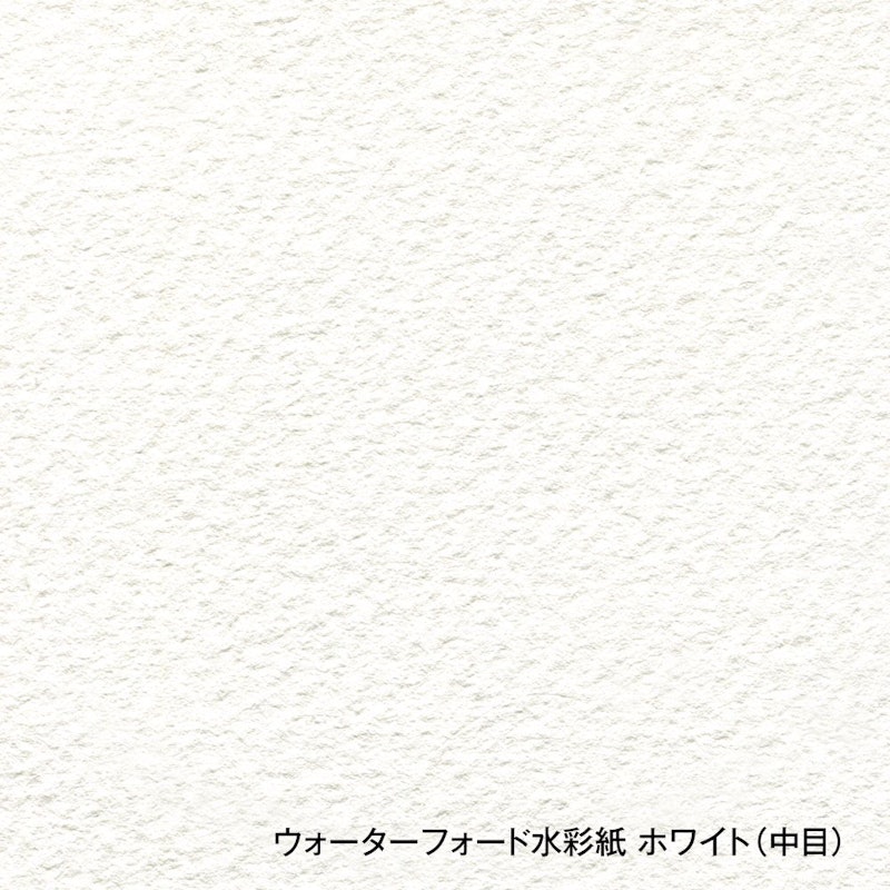 ウォーターフォード水彩紙 3