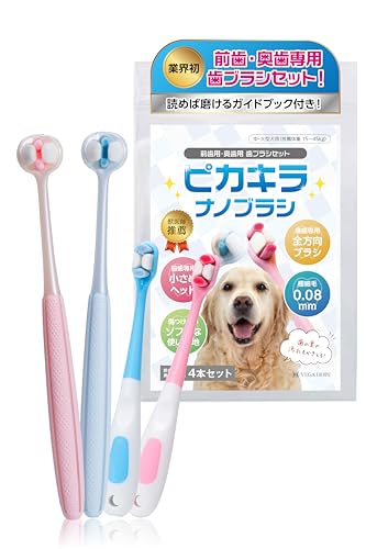  犬歯ブラシ  1